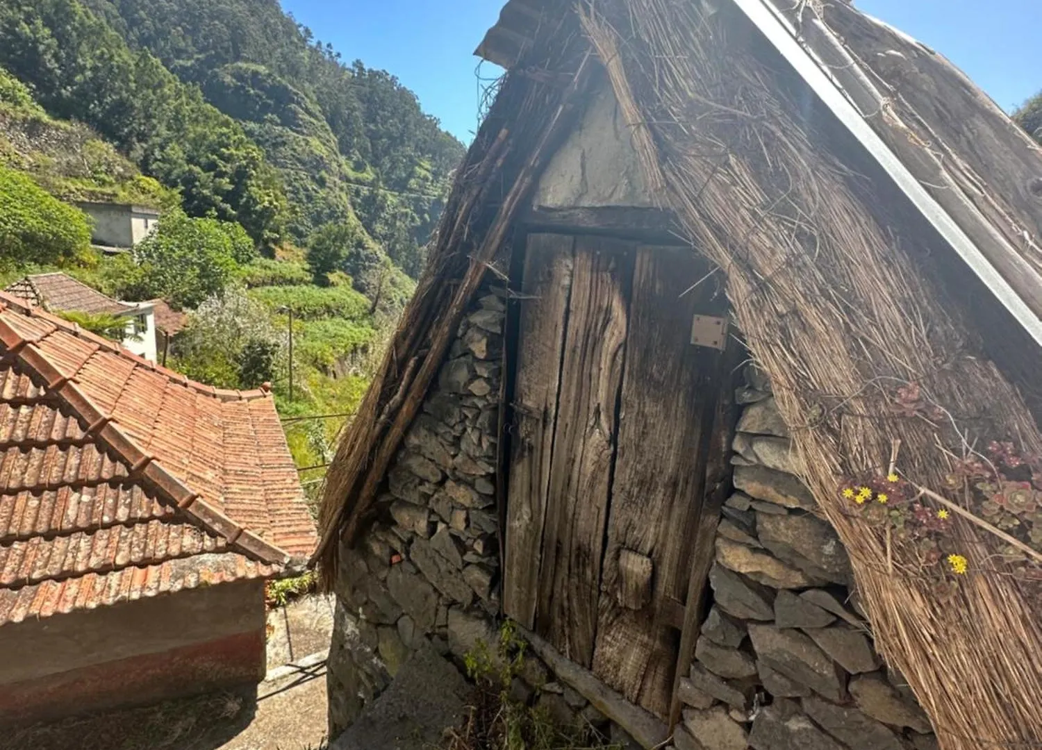 The Green Valley House São Vicente Apartmán